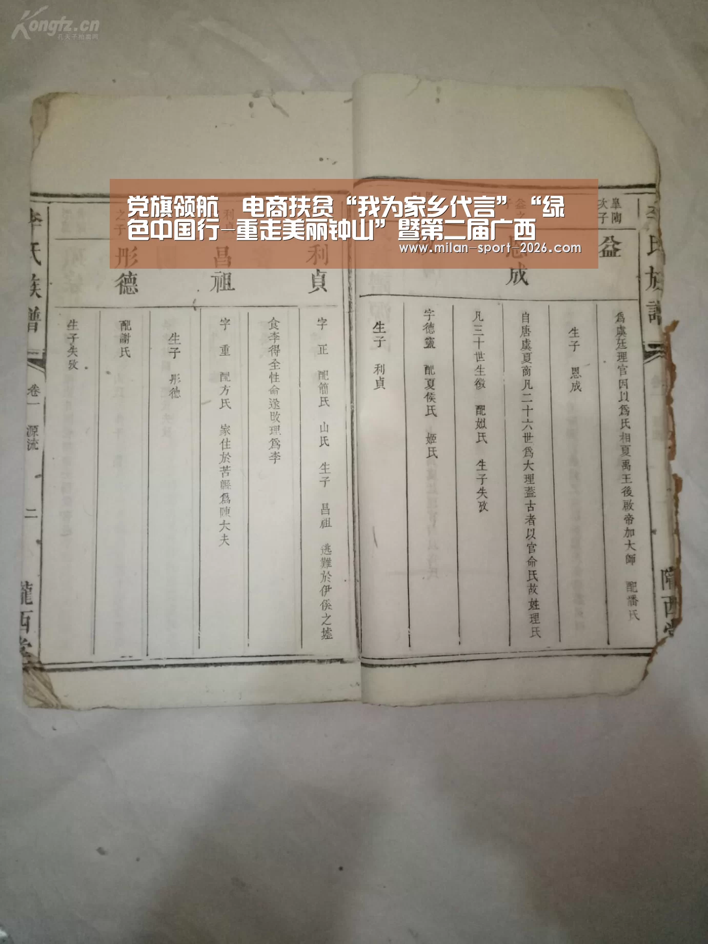 党旗领航•电商扶贫“我为家乡代言”“绿色中国行-重走美丽钟山”暨第二届广西•钟山贡柑文化节大型系列主题公益活动贡柑王擂台【米兰官网】(图2) 米兰入口