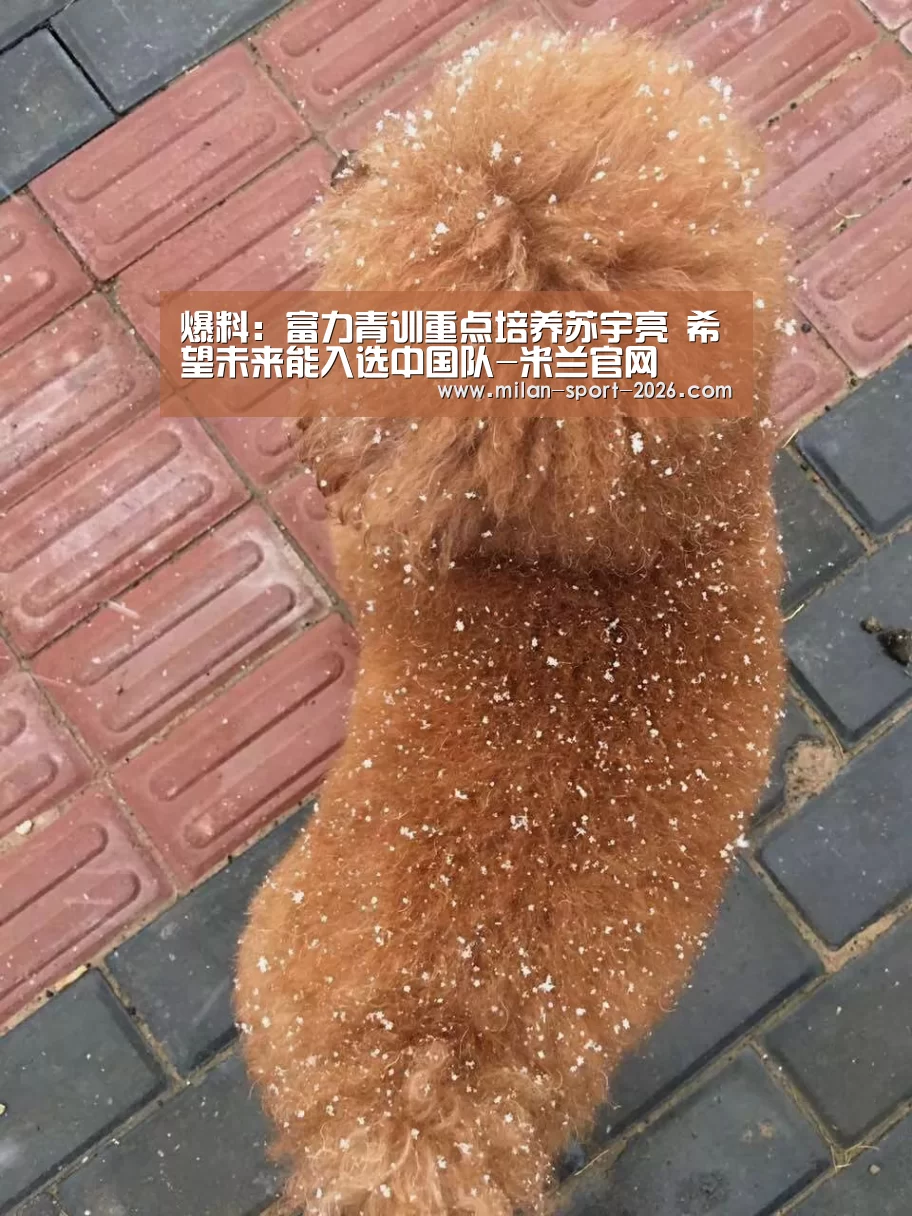 米兰平台