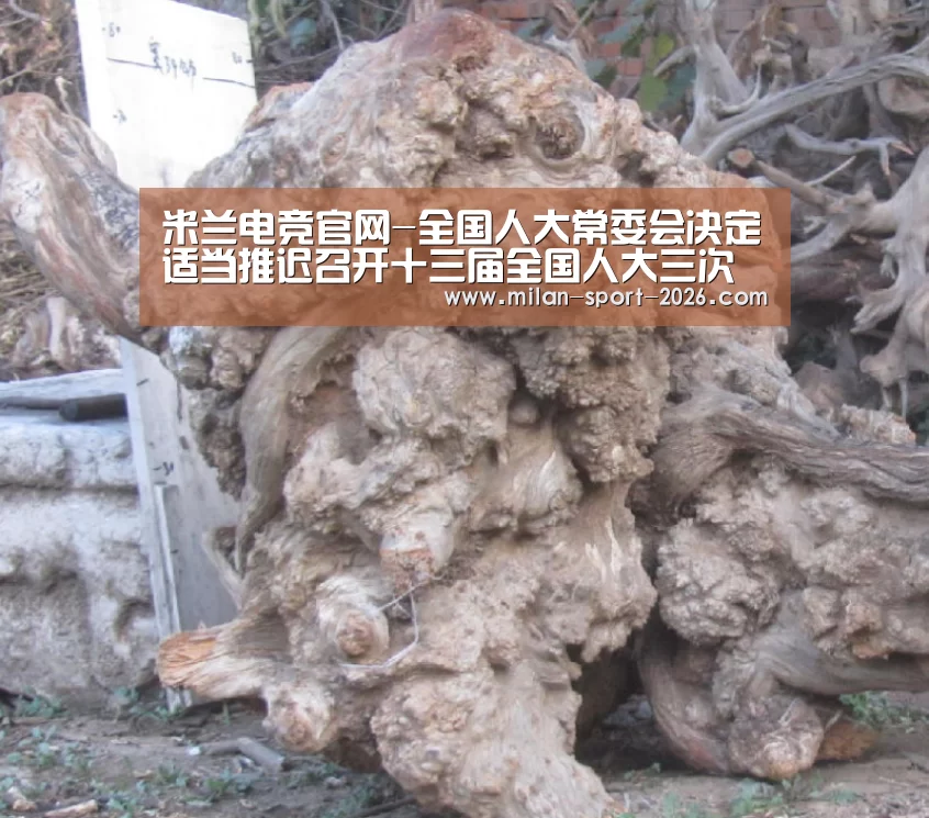 米兰平台