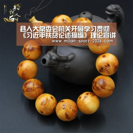 县人大常委会机关开展学习贯彻《习近平扶贫论述摘编》理论宣讲:米兰平台(图4) 米兰在线