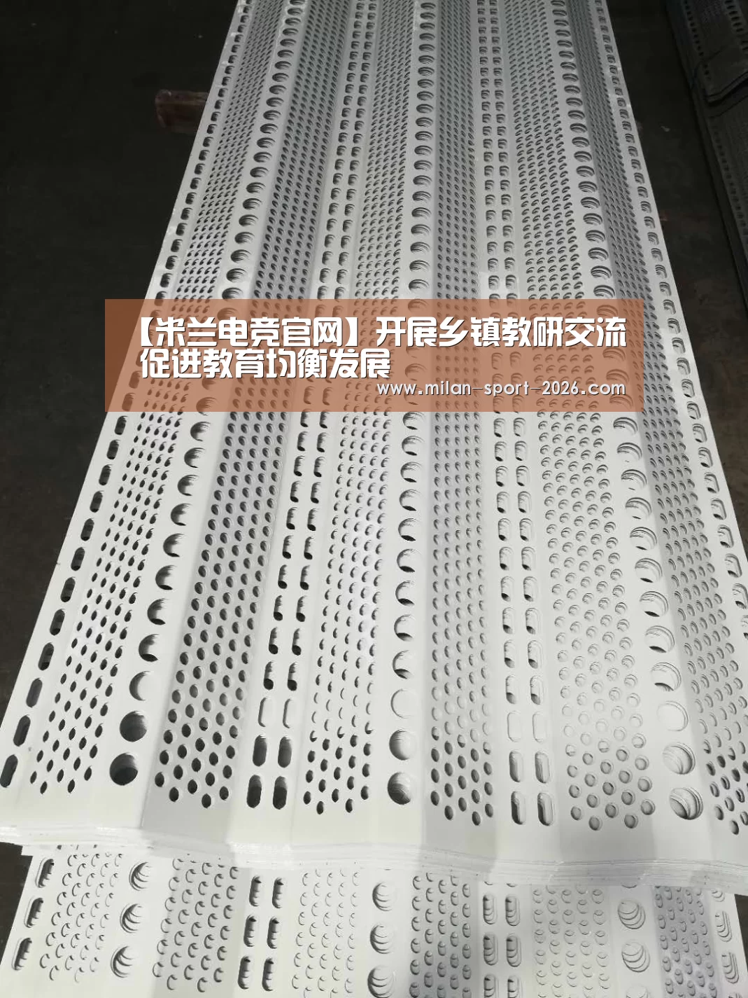【米兰电竞官网】开展乡镇教研交流 促进教育均衡发展(图3) 米兰入口