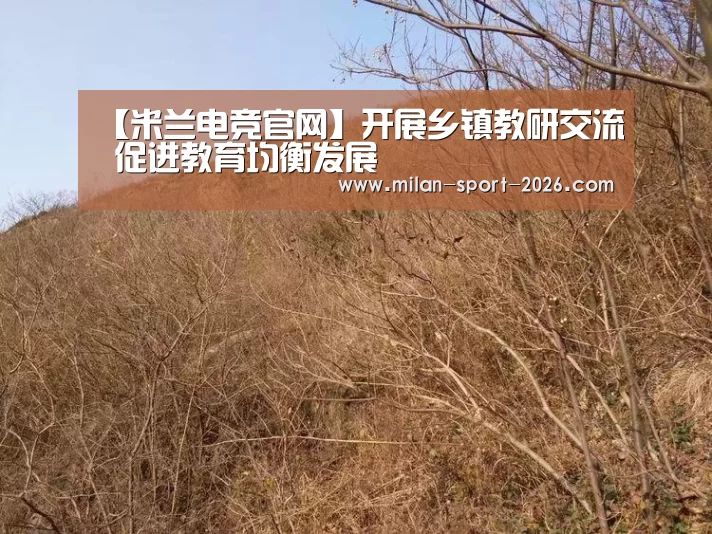【米兰电竞官网】开展乡镇教研交流 促进教育均衡发展(图4) 米兰在线