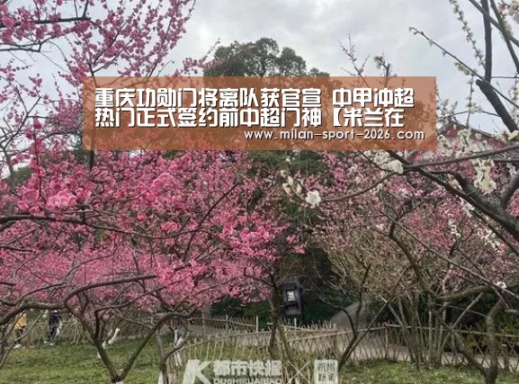 米兰电竞官网